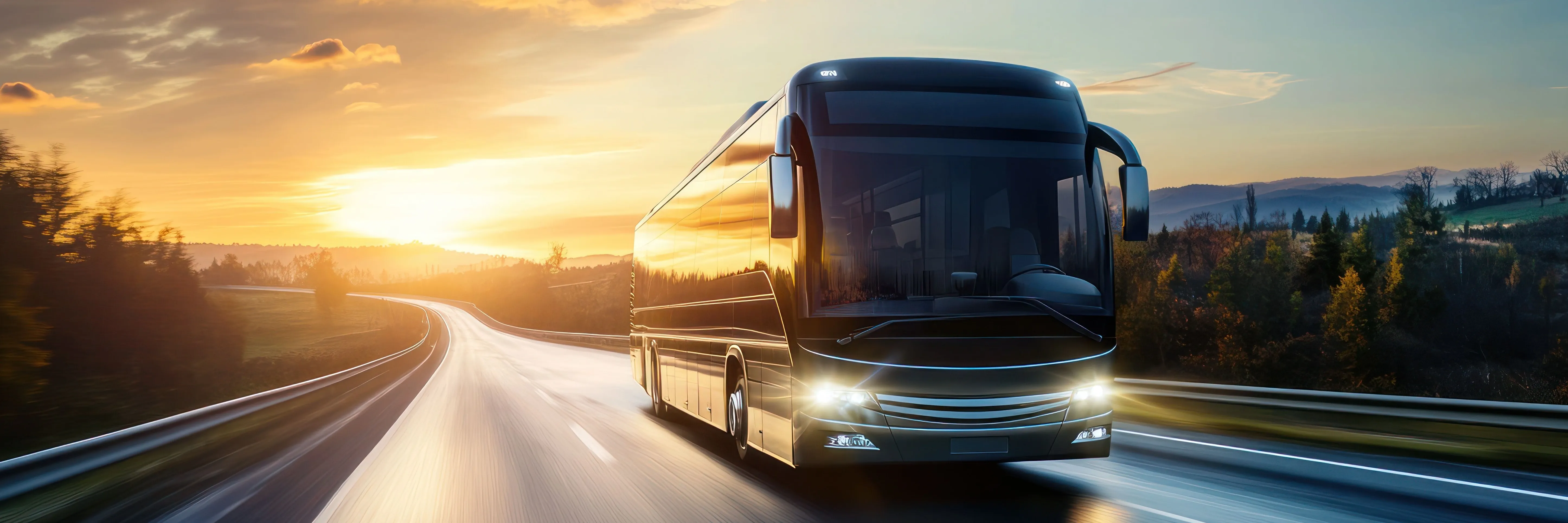 Busses