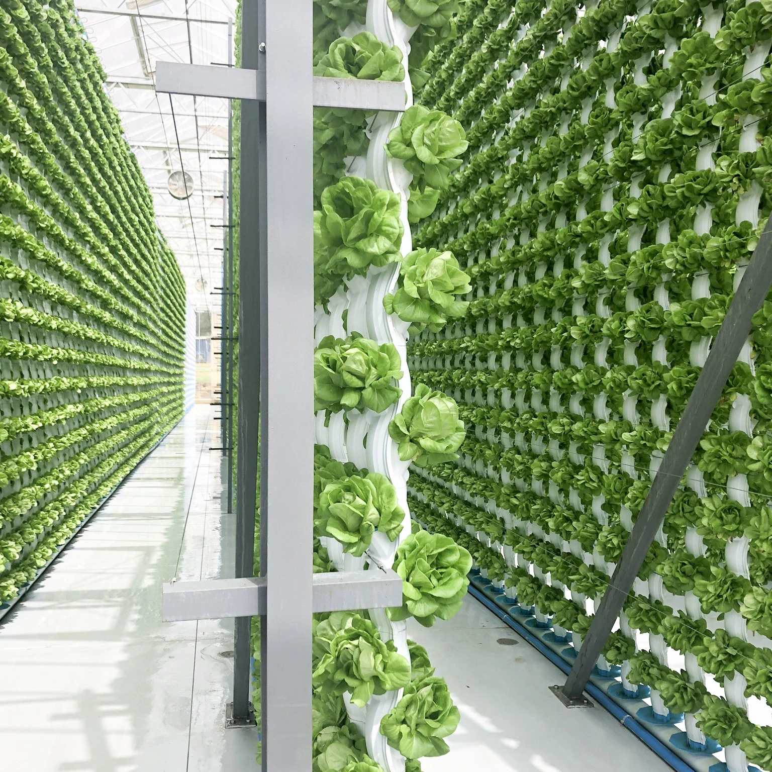 sun powered vertical farming