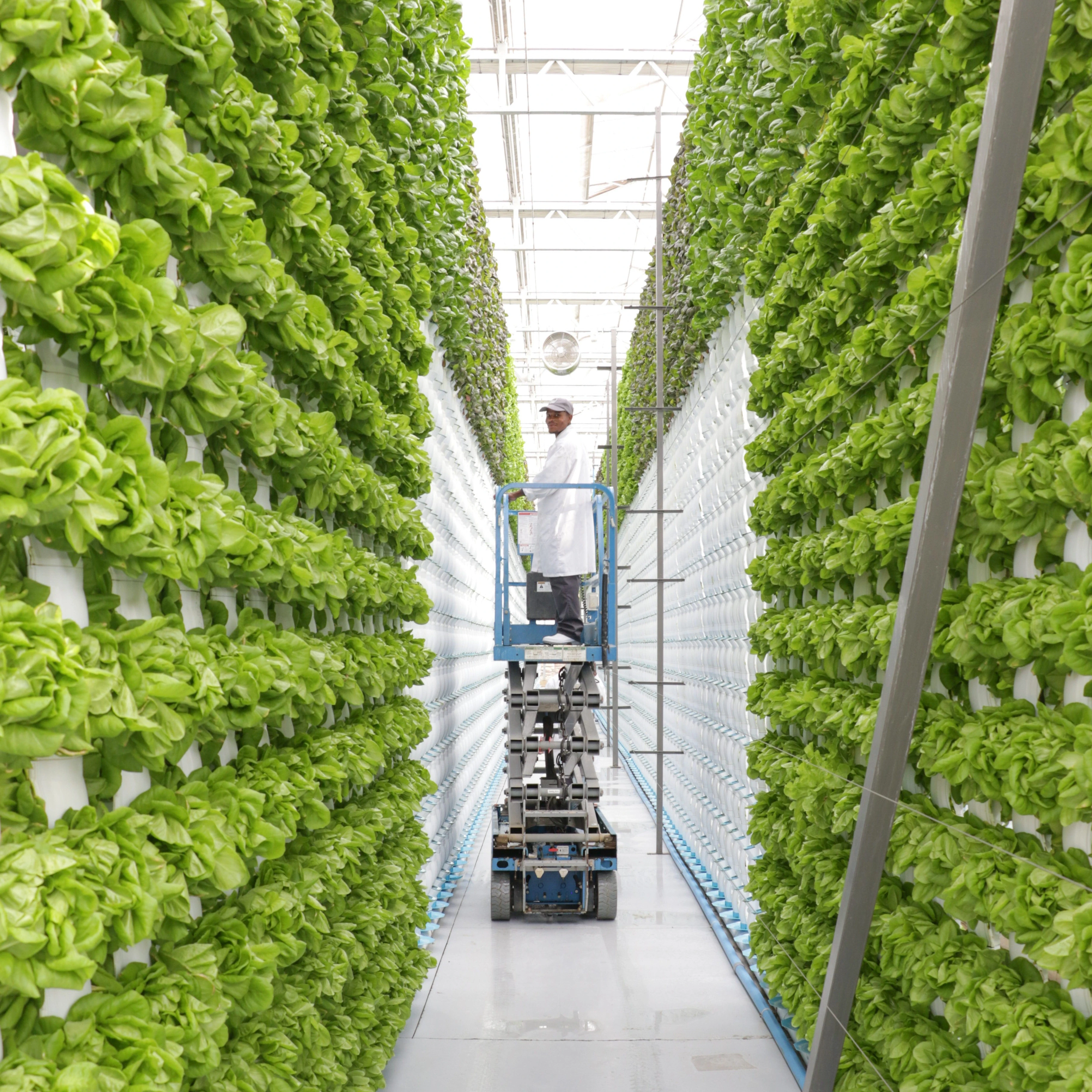 sun powered vertical farming